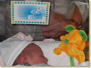 20040917-02 Close up in ZH-wiegje